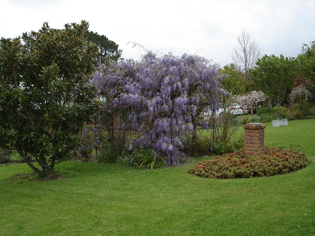 Warkworth Country House Eksteriør bilde